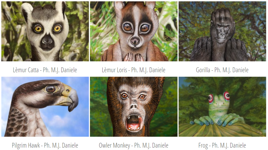 Hand painting- peinture sur mains